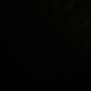 Meet your Posher, Andy